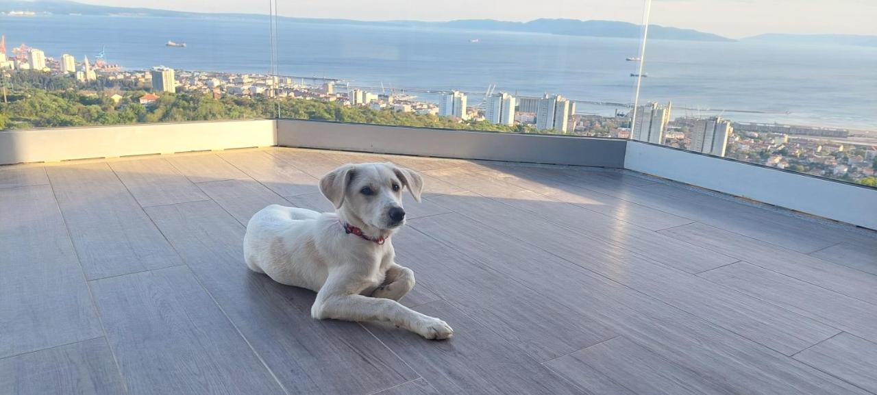 Apartmán Drenova View Rijeka Exteriér fotografie
